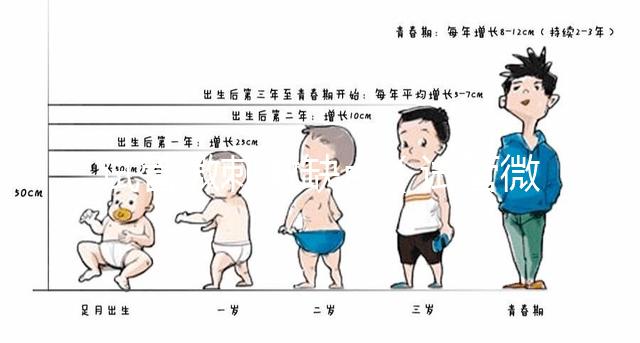 試管微刺激缺點（試管微刺激方案的優(yōu)勢）