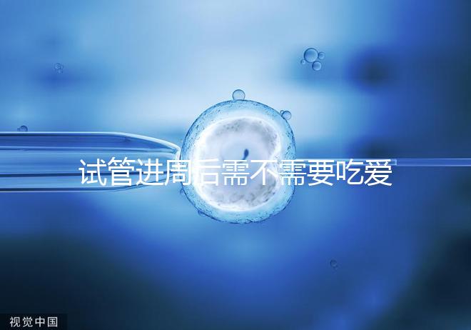 試管進周后需不需要吃愛樂維、要吃多久別瞎猜，真相在這