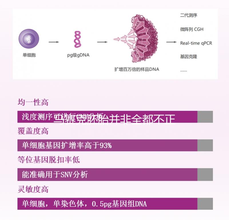 馬賽克胚胎并非全都不正常，單獨移植風險更小