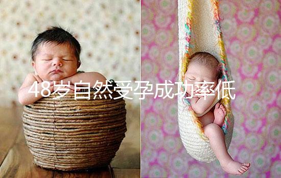 48歲自然受孕成功率低別擔心！提升懷孕的幾率僅需3招