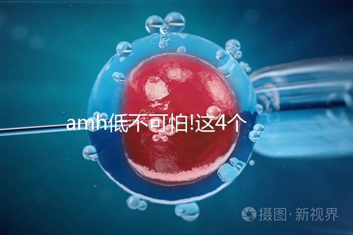 amh低不可怕!這4個方法可以提高AMH值