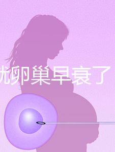 31歲就卵巢早衰了，在河北霸州哪里能做供卵試管嬰兒？