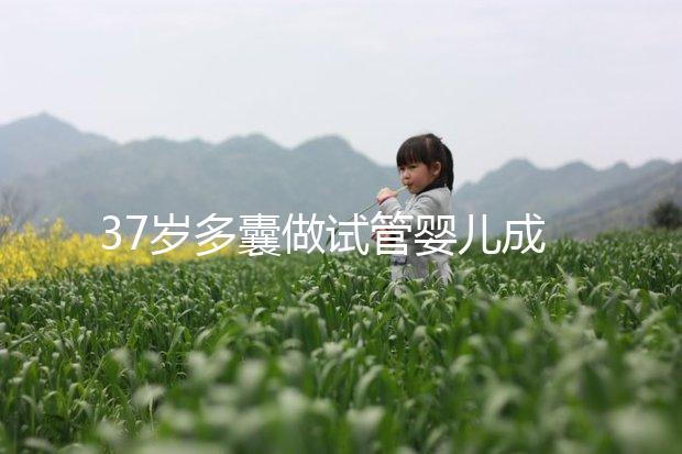 37歲多囊做試管嬰兒成功幾率多高？國內(nèi)哪里做比較好