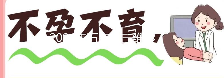 2024年石家莊三維彩超價格公布，想在哪里制作裕華好戳