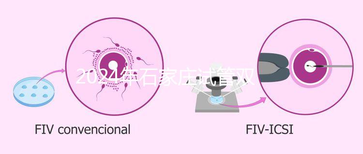 2024年石家莊試管雙胞胎醫(yī)院排名，不要錯過新華、長安