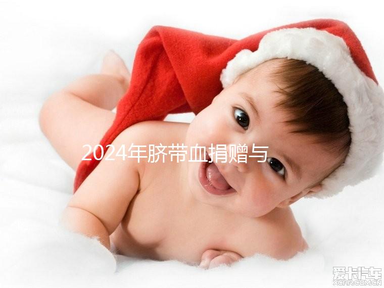 2024年臍帶血捐贈與自存的區別來襲，哪個是好的揭秘？