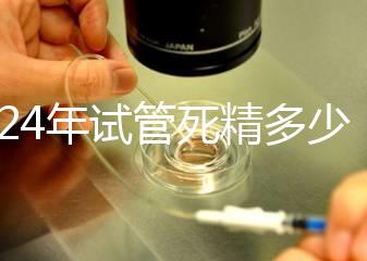 2024年試管死精多少錢？報銷政策和費用都有