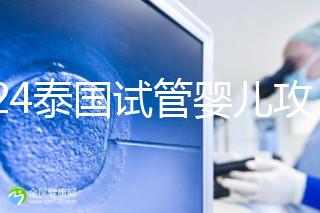 2024泰國試管嬰兒攻略索引：定制寶寶，個性化生育需求