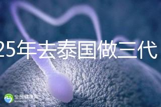 2025年去泰國(guó)做三代試管助孕費(fèi)用大曝光？具體要花費(fèi)多少錢(qián)