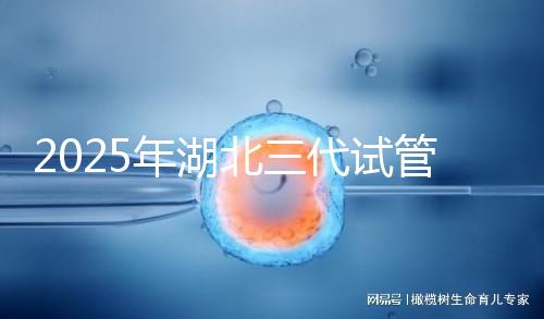 2025年湖北三代試管嬰兒費用明細一覽 附價格清單！
